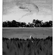Illustration for article titled iMiracleman: The Golden Age /ireprints Gaiman and Buckingham’s fascinating run